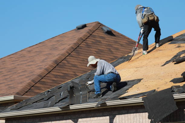 Best Roof Repair  in Memphis, TN